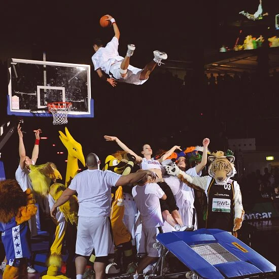 Eurotramp Minitramp "TeamGym Premium" 5 Eurotramp Minitramp "TeamGym Premium" – Bild 3