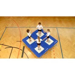 Sport-Thieme Minitramp "Standard" Mit Integrierter Ganzabdeckung -Filt Wood Verkaufe 122 8104 3