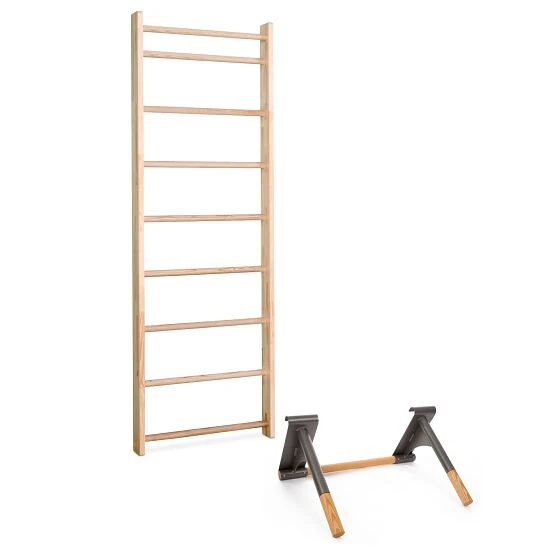 Sport-Thieme Sprossenwand Mit Klimmzug-Dip-Stange 4 Sport-Thieme Sprossenwand Mit Klimmzug-Dip-Stange – Bild 2