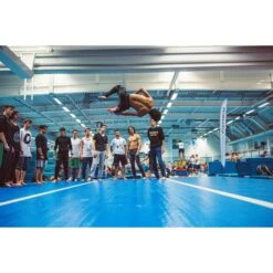 Sport-Thieme AirTrick By AirTrack Factory -Filt Wood Verkaufe 259 7108 2