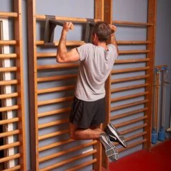 Sport-Thieme Klimmzug-Dip-Stange -Filt Wood Verkaufe 267 1808 7