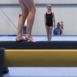 Spieth Schwebebalken-Auflagematte "Multimatte" 7 Spieth Schwebebalken-Auflagematte "Multimatte" -Filt Wood Verkaufe 278 2805 2