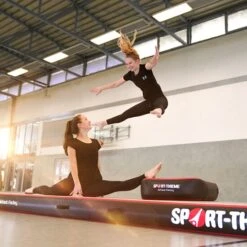 Sport-Thieme AirBlock "Carbon" -Filt Wood Verkaufe 297 1201 5