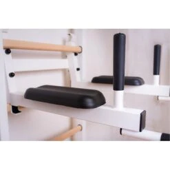 BenchK Sprossenwand Fitness-System "523W + A204" -Filt Wood Verkaufe 300 7903 7