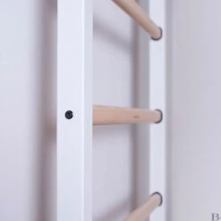 BenchK Sprossenwand Fitness-System "522W + A204" -Filt Wood Verkaufe 328 6409 2