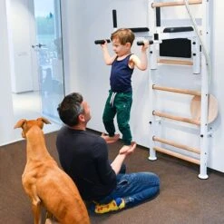 BenchK Sprossenwand Fitness-System "522W + A204" -Filt Wood Verkaufe 328 6409 9